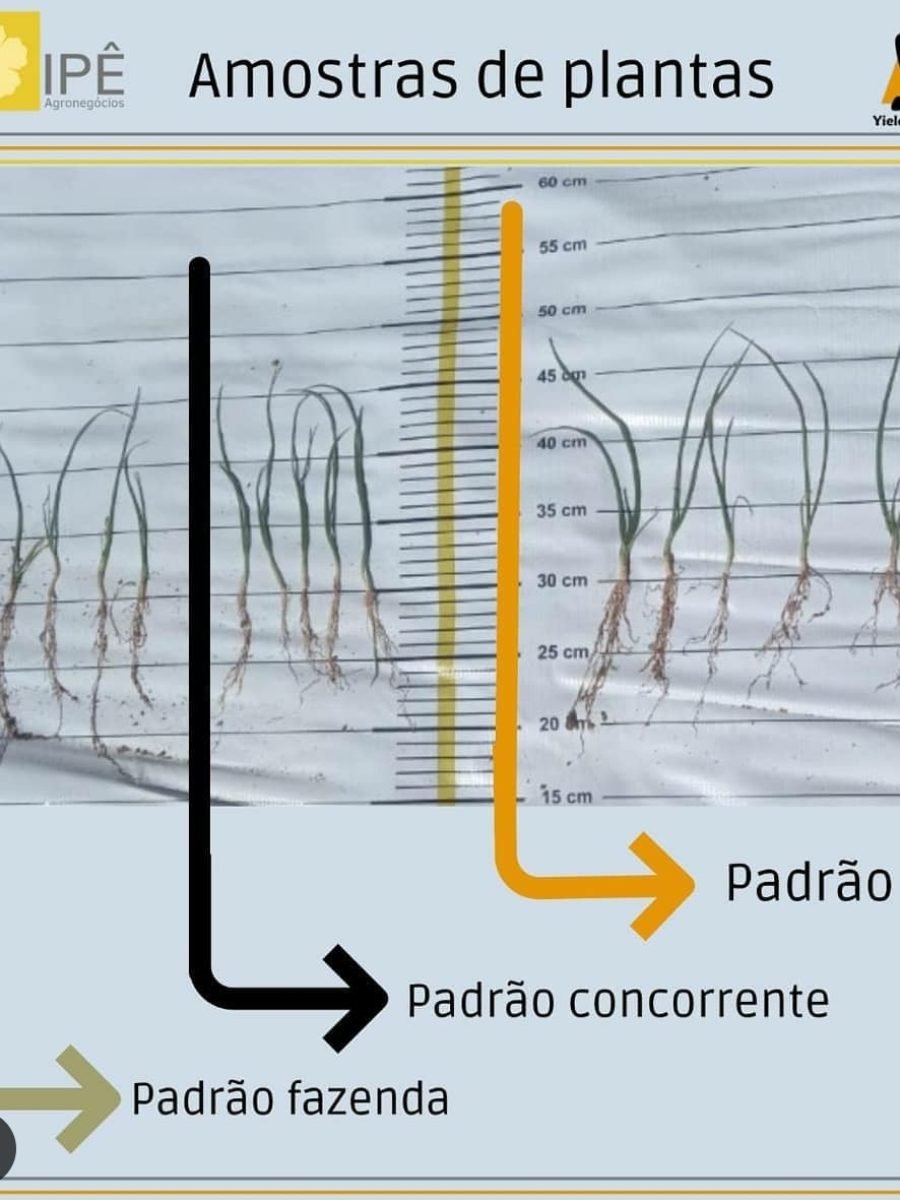 029576e9-9a72-4b76-b009-259edee6cf74