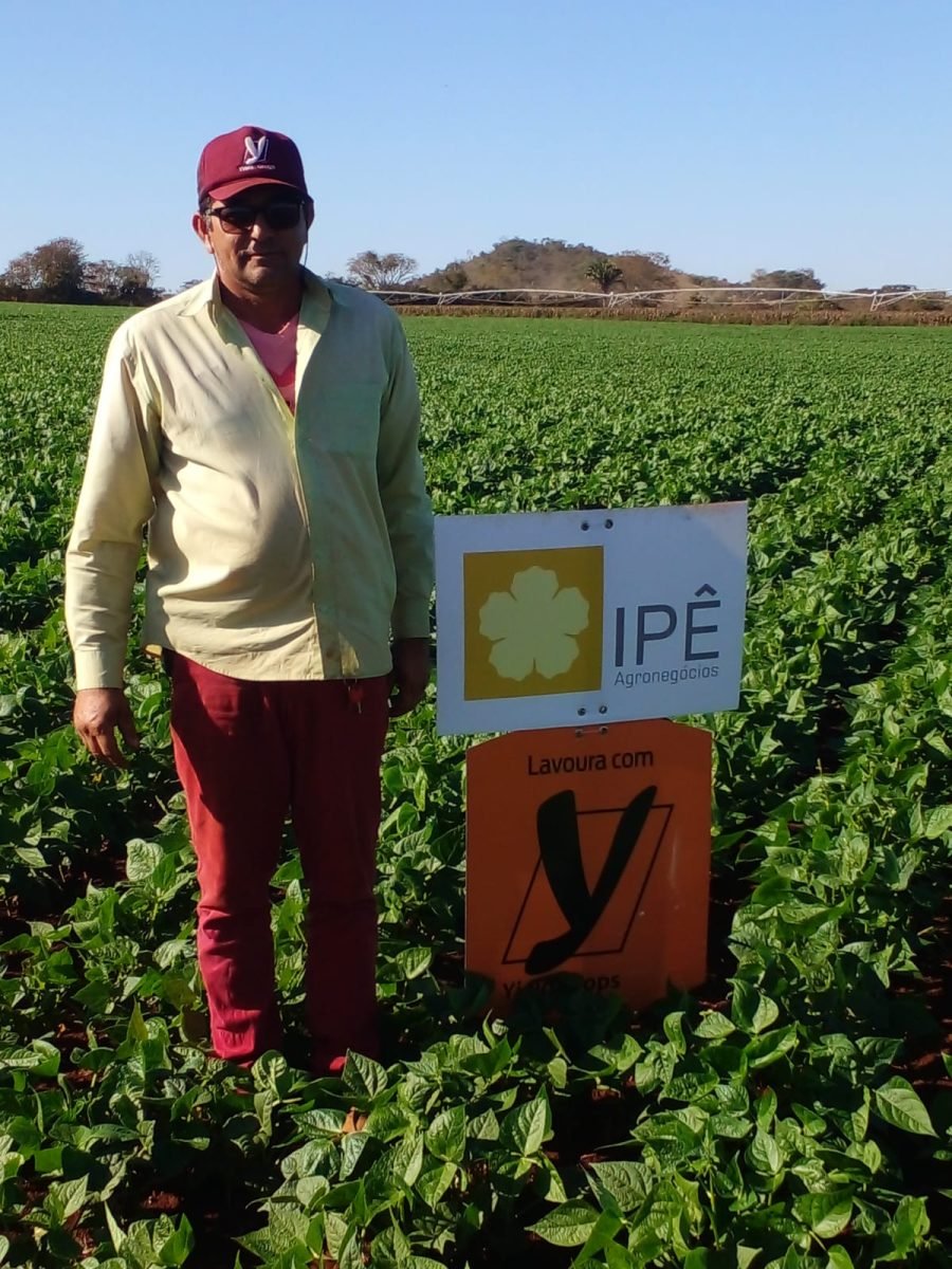 Ipê Agronegócios 122